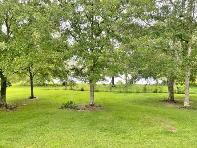14 Herman Rushing Road Tylertown, MS 39667 - Photo 23 of 34 Photo 23