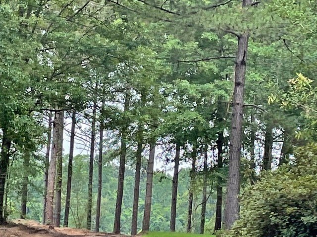 14 Herman Rushing Road Tylertown, MS 39667 - Photo 26 of 34 Photo 26