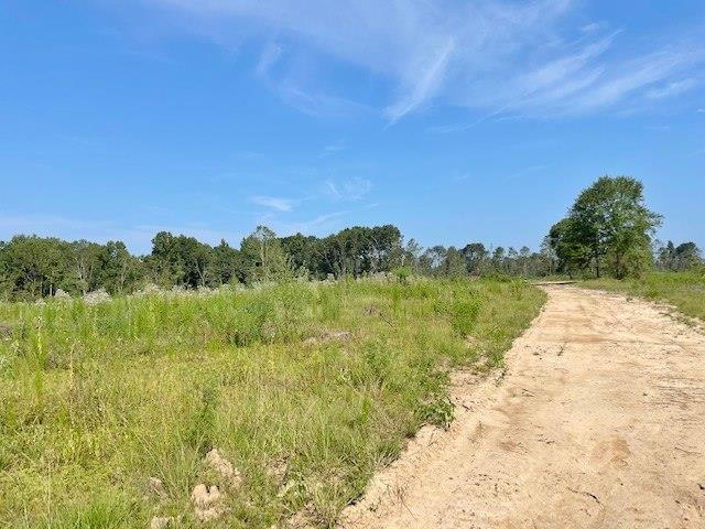 14 Herman Rushing Road Tylertown, MS 39667 - Photo 28 of 34 Photo 28