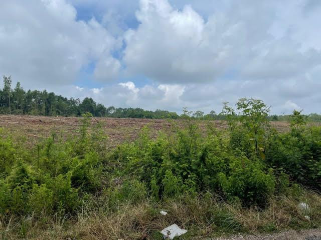 14 Herman Rushing Road Tylertown, MS 39667 - Photo 29 of 34 Photo 29
