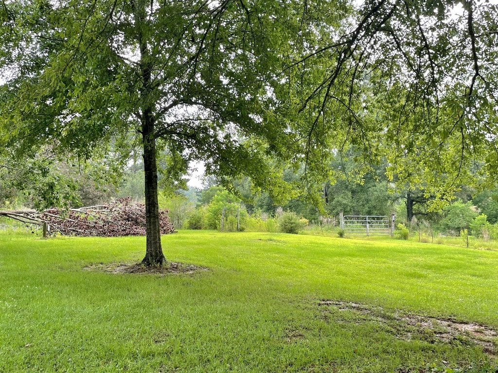 14 Herman Rushing Road Tylertown, MS 39667 - Photo 31 of 34 Photo 31