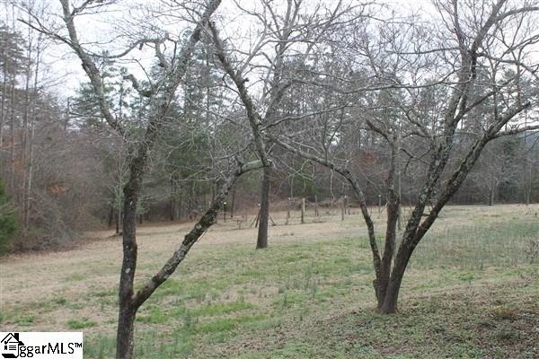 1792 Ireland Road Pickens, SC 29671 - Photo 23 of 33