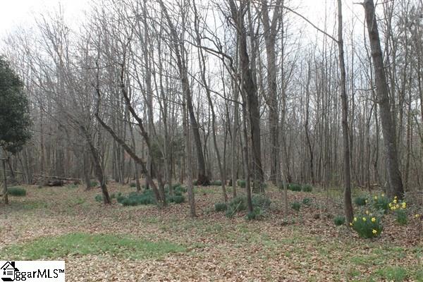 1792 Ireland Road Pickens, SC 29671 - Photo 26 of 33