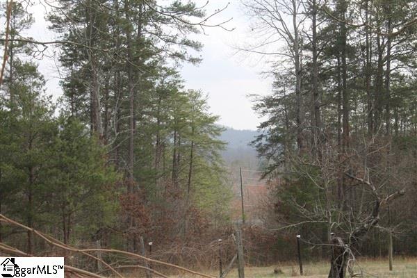 1792 Ireland Road Pickens, SC 29671 - Photo 28 of 33