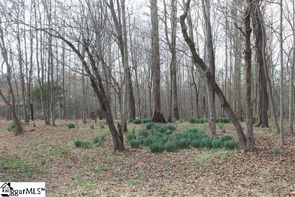 1792 Ireland Road Pickens, SC 29671 - Photo 29 of 33