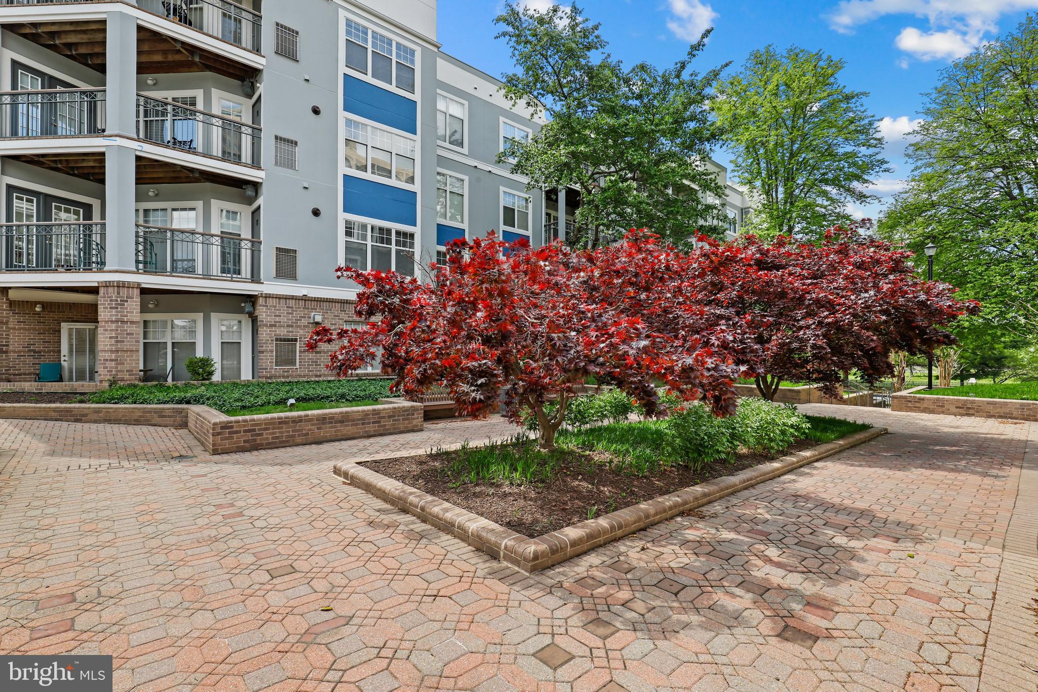 5565 Seminary Road, Unit 216 Falls Church, VA 22041 - Photo 30 of 39