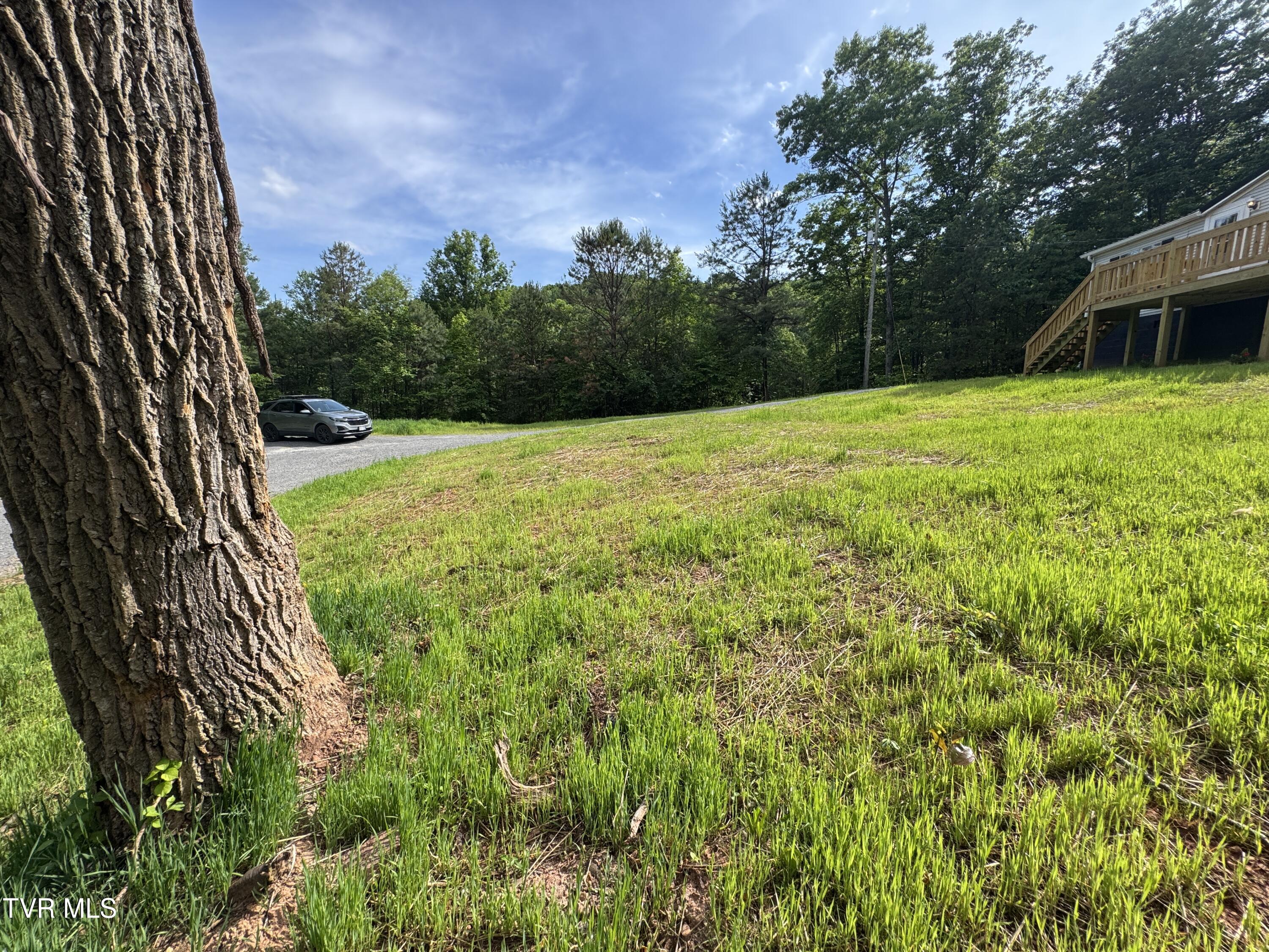 1555 Hamner Hollow Road Big Stone Gap, VA 24219 - Photo 37 of 41 FRONT YARD
