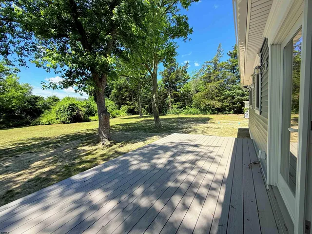 a view of yard with tree in front of it