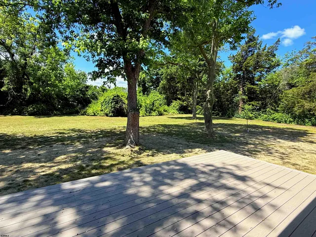 a view of a yard with an tree