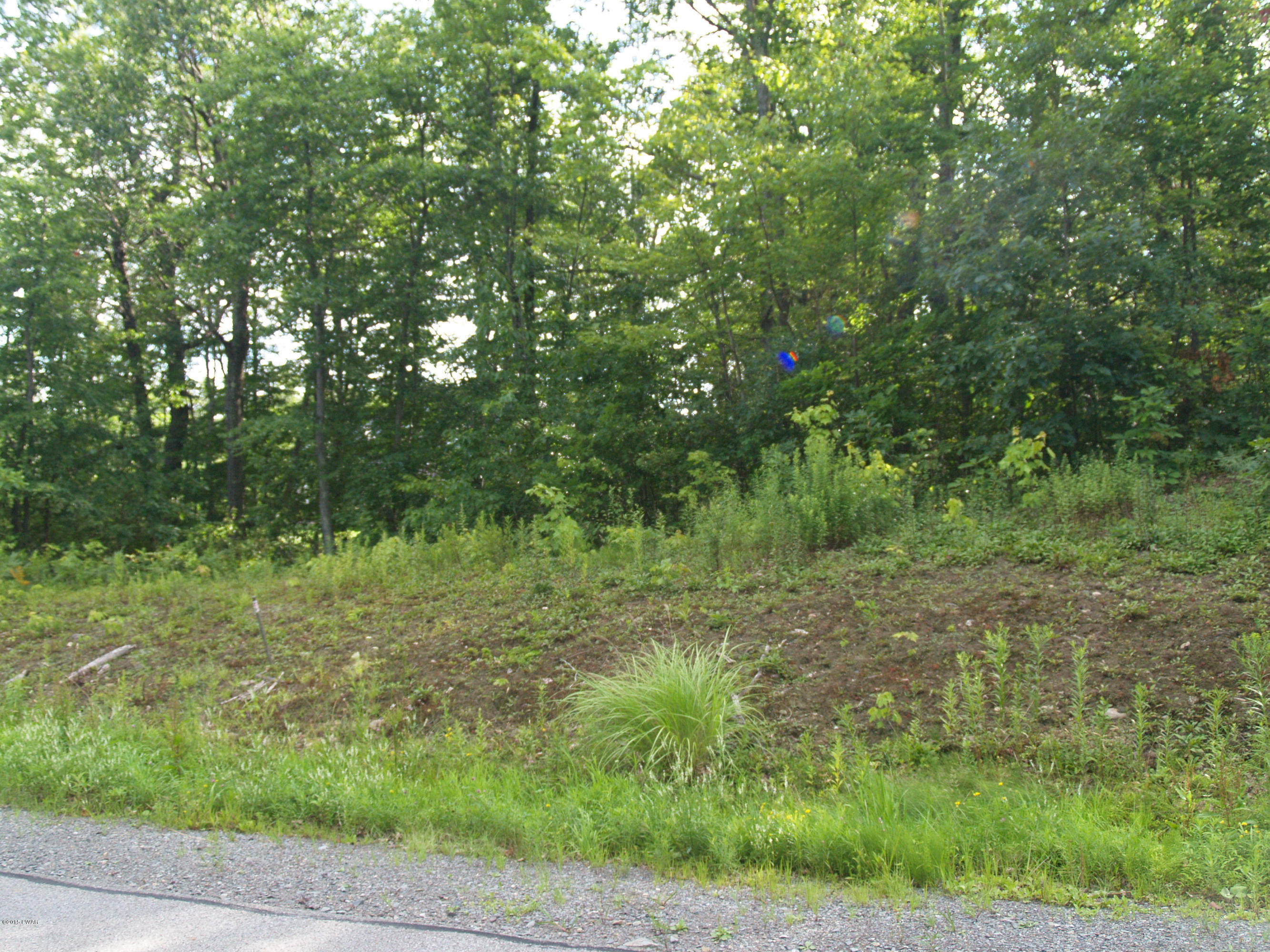 L95 Windsor Way Moscow, PA 18444 - Photo 4 of 6