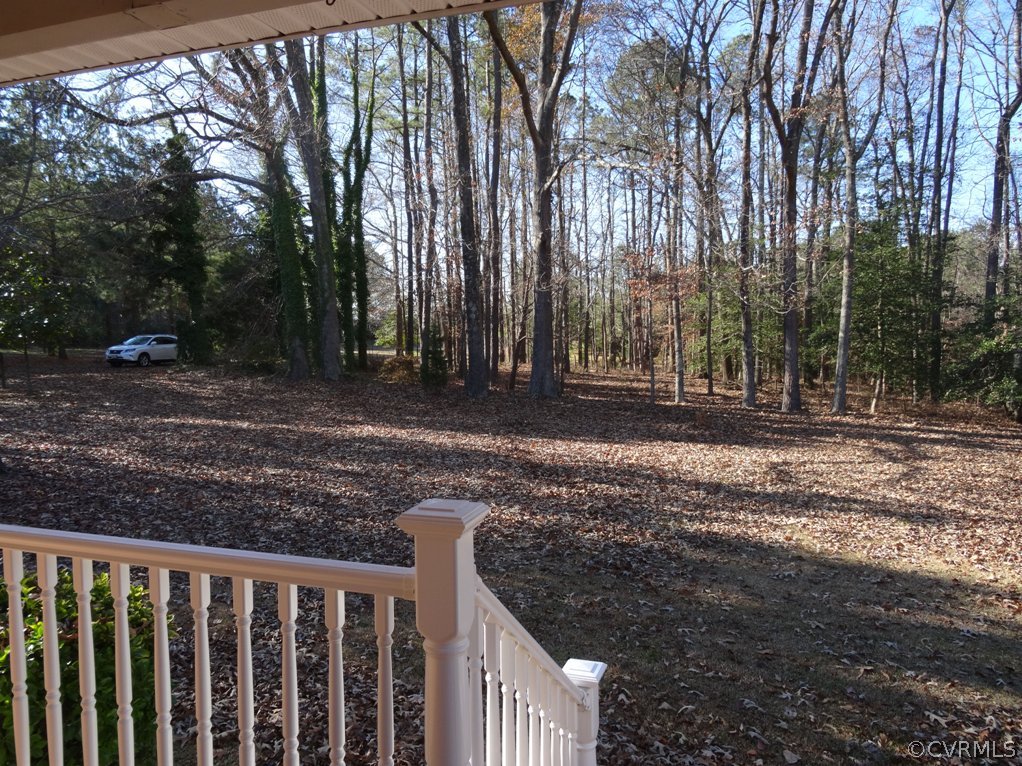 19225 Templeton Road Carson, VA 23830 - Photo 6 of 21 a view of a backyard of the house