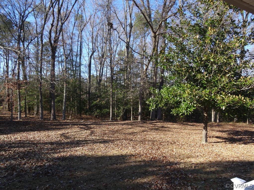 19225 Templeton Road Carson, VA 23830 - Photo 8 of 21 a backyard of a house with lots of green space