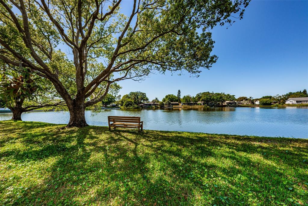 3835 Lighthouse Way New Port Richey, FL 34652 - Photo 53 of 78