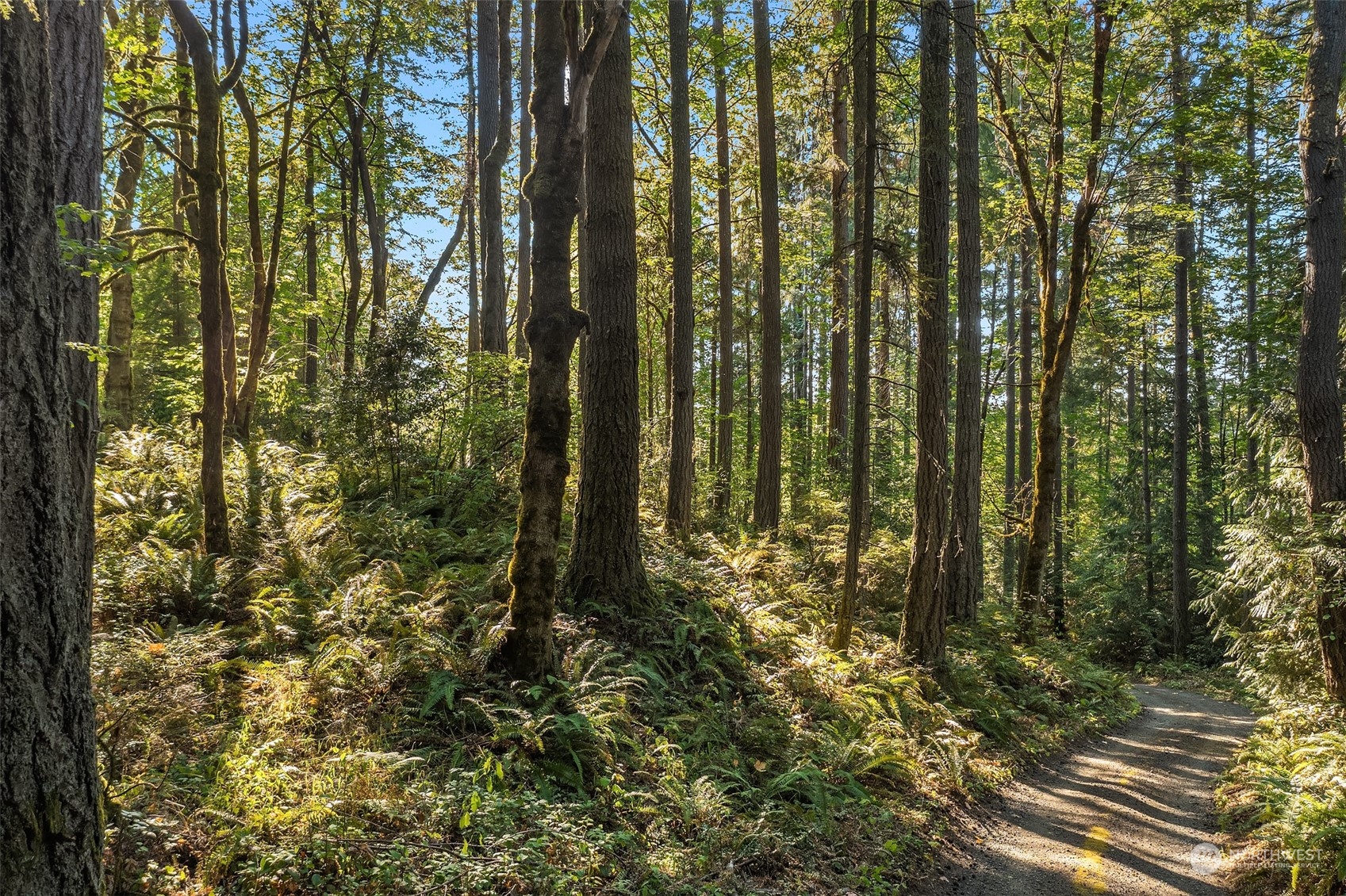 5415 Johnson Point Road Northeast Olympia, WA 98516 - Photo 27 of 34