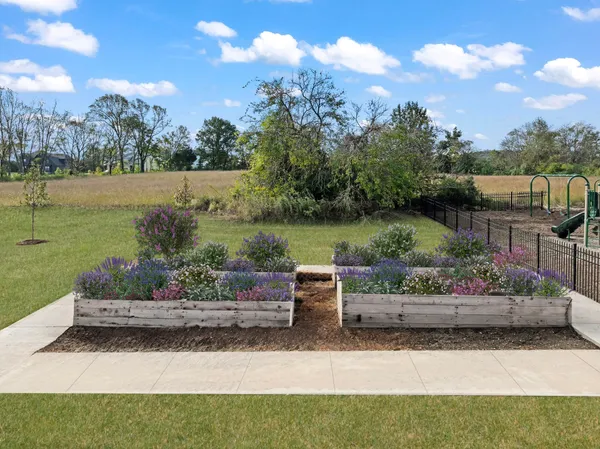 a view of a garden with a bench in a lake