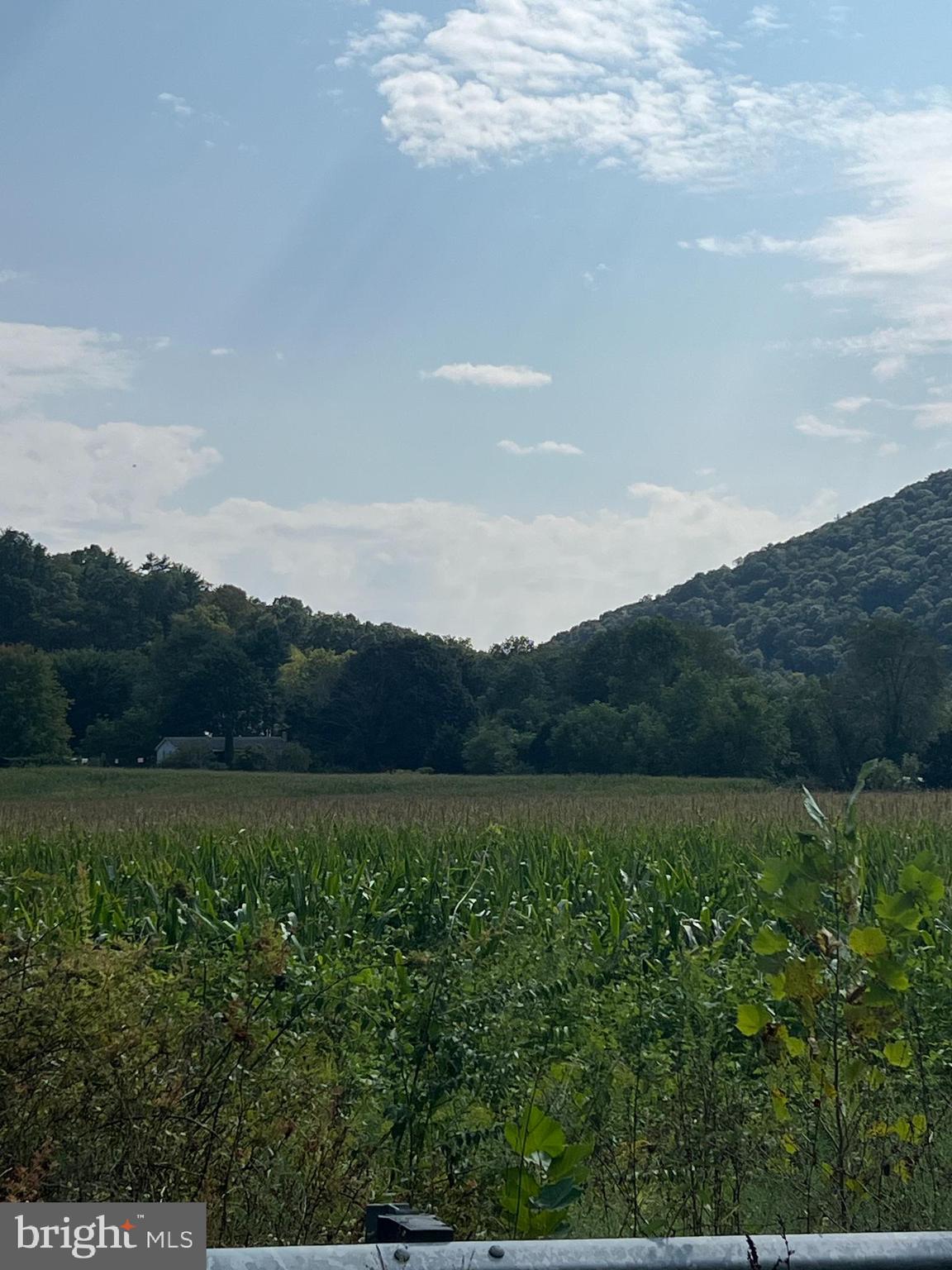 0 Ridge Road Klingerstown, PA 17941 - Photo 2 of 6