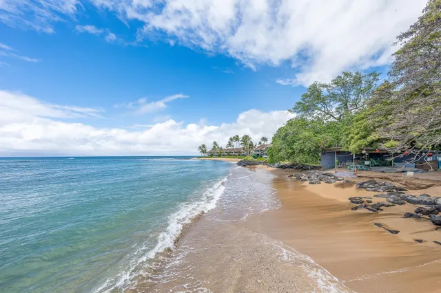 a view of a lake with beach and trees in the background