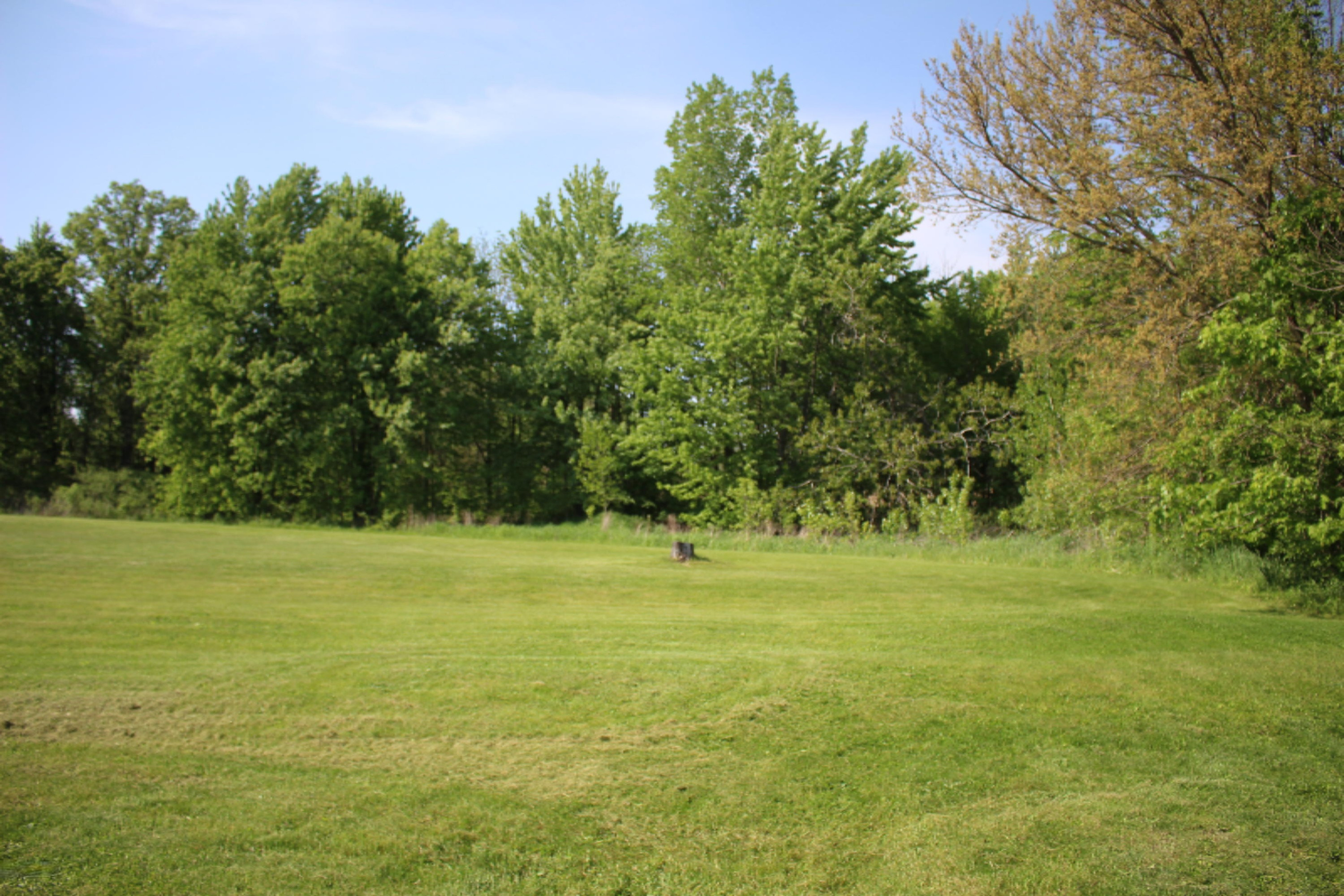 14480 Church Road Hudson, MI 49247 - Photo 29 of 46 IMG_3894