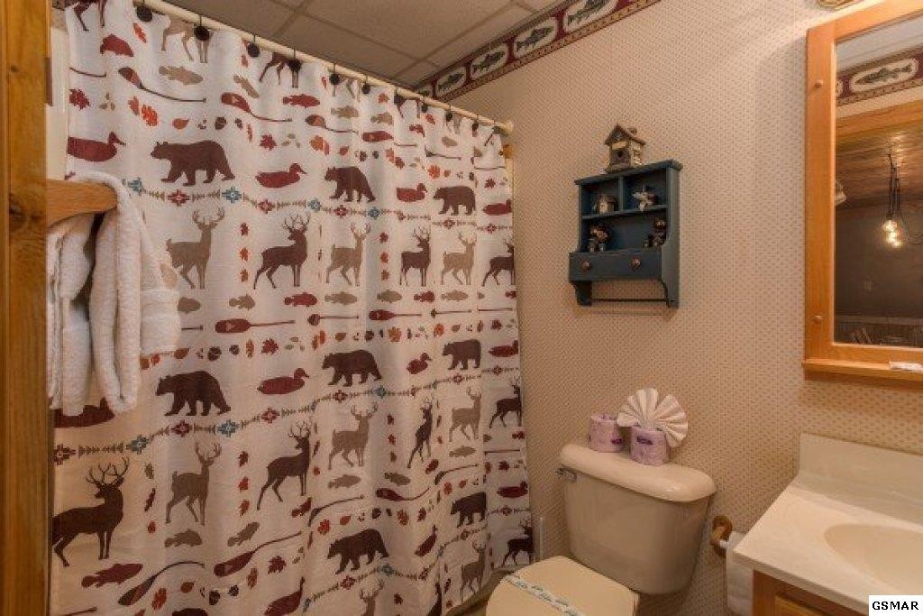 704 Grey Hawk Way Pigeon Forge, TN 37863 - Photo 26 of 29