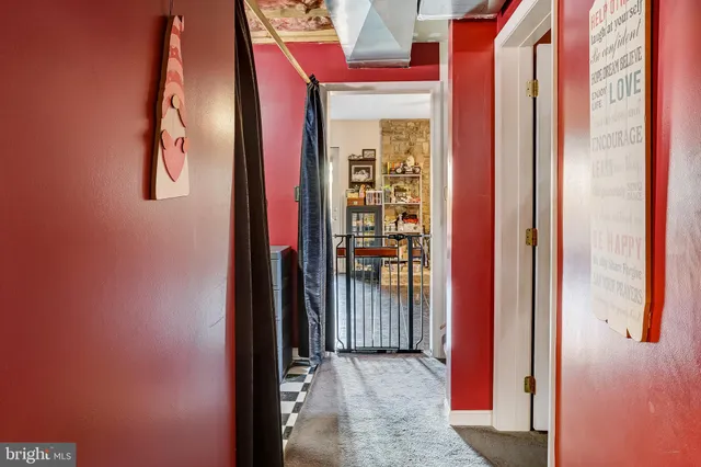 a view of a backyard with plants