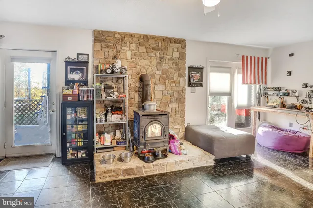 a view of a park with large trees