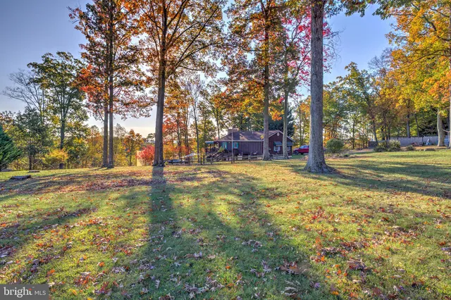 an aerial view of residential houses with outdoor space and trees