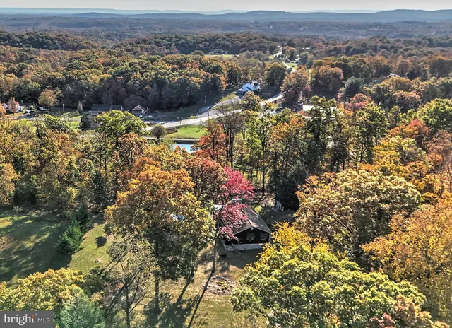 a view of a bunch of flowers and trees