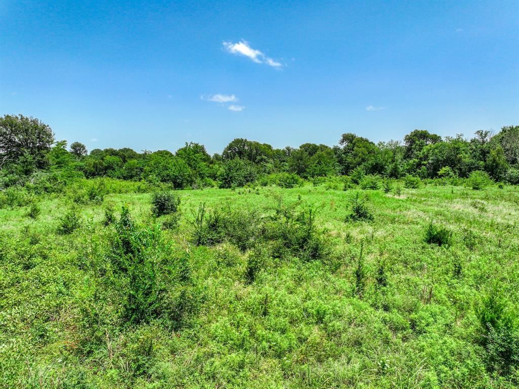 0 West Farm Road Talco, TX 75487 - Photo 35 of 37 Gallery Image 35