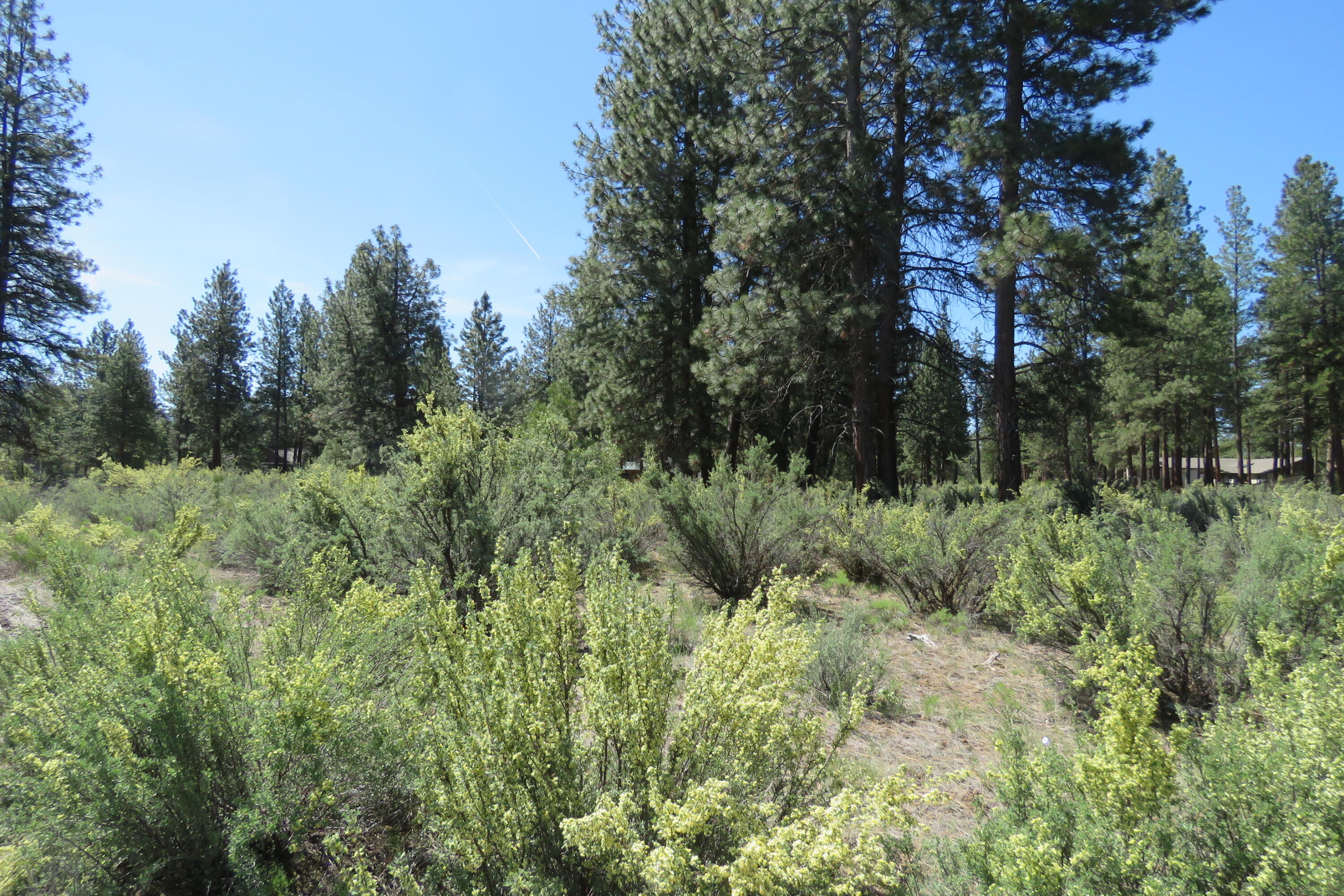 Castle Drive Chiloquin, OR 97624 - Photo 3 of 12 IMG_4562