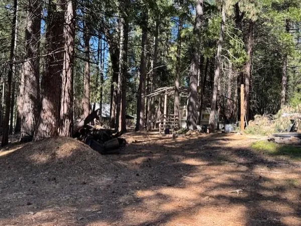 a view of a yard with large trees