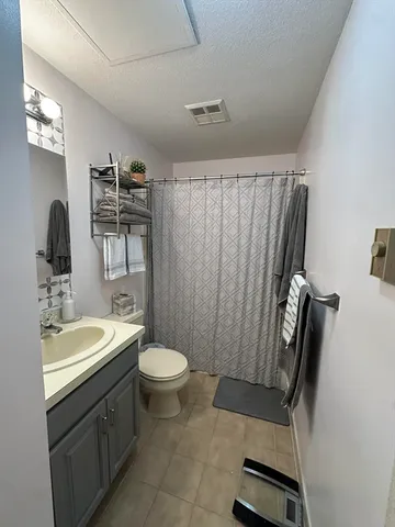 a bathroom with a sink a toilet a mirror and shower