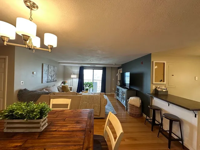 a view of a livingroom with furniture window and wooden floor