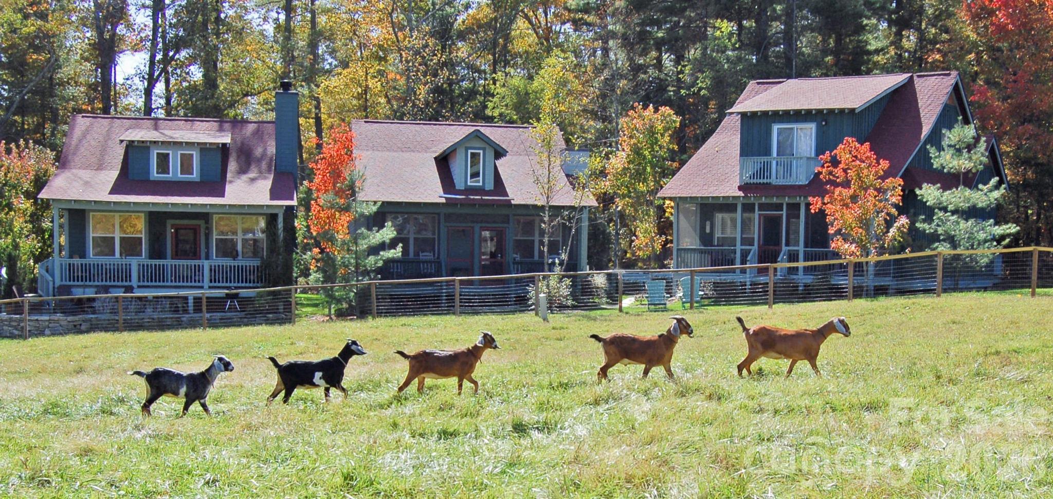 46 Rhett Drive Flat Rock, NC 28731 - Photo 25 of 25