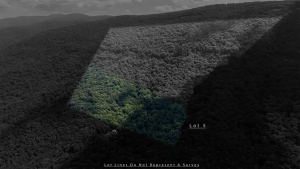 a view of a dry yard