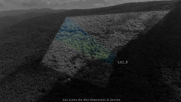 a view of a dry yard