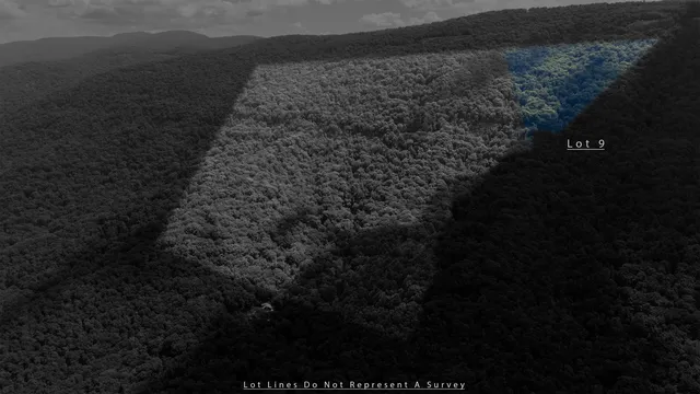 a small garden covered with wooden fence