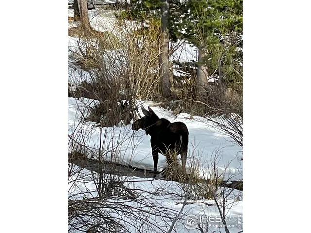 a living room with gym equipment and a table