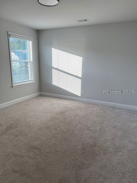 74 Danner Drive Okatie, SC 29909 - Photo 7 of 11