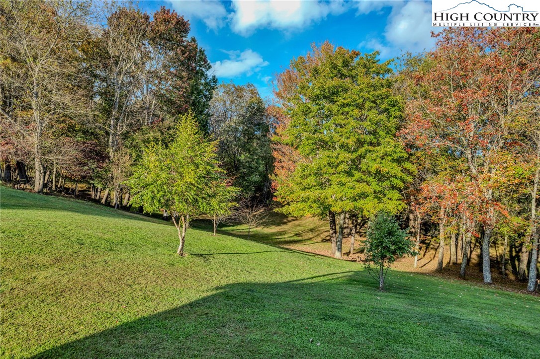 1108 Bald Knob Road Sparta, NC 28675 - Photo 5 of 43 a view of a park with large trees