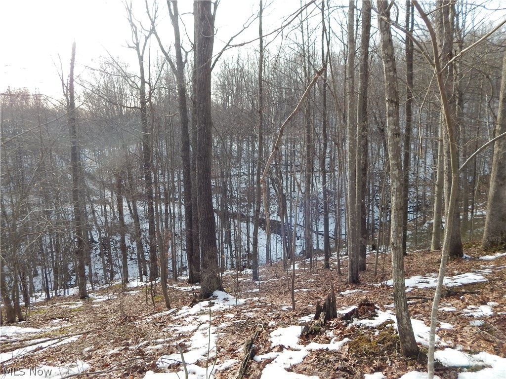 Fingerboard Road Big Springs, WV 26137 - Photo 21 of 21