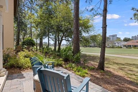 a view of a yard with a tree