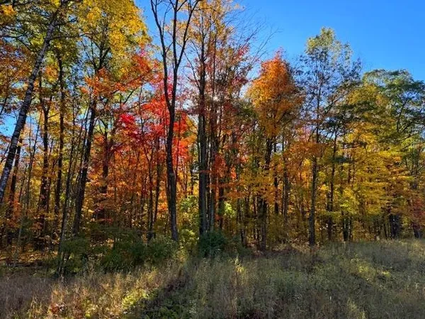 $375,000 | Tbd Skyview Street, Brook Park, MN 55007