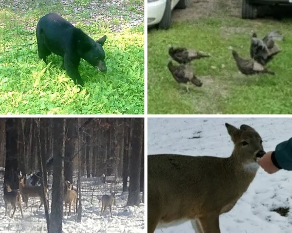 $375,000 | Tbd Skyview Street, Brook Park, MN 55007