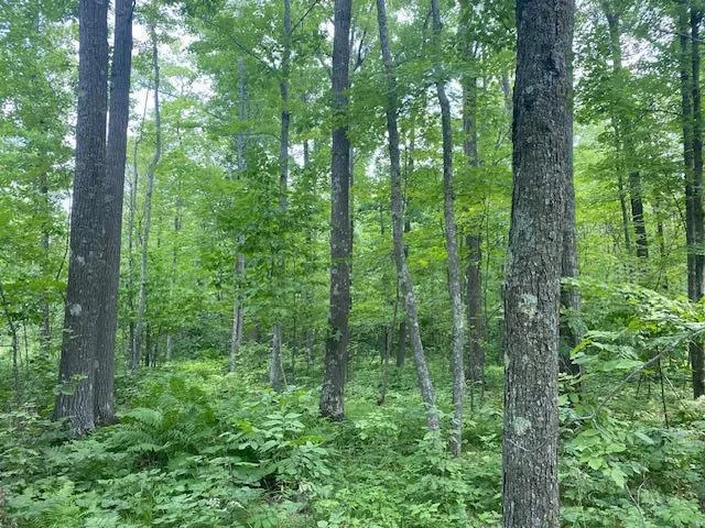 $375,000 | Tbd Skyview Street, Brook Park, MN 55007