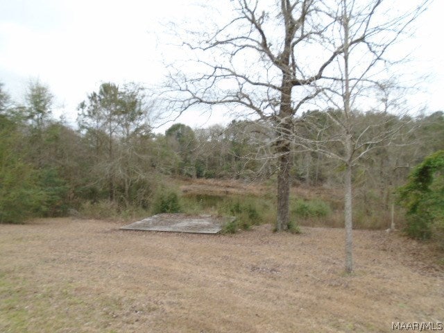 1400 Pine Level Road Brantley, AL 36009 - Photo 14 of 16 Gallery Image 14