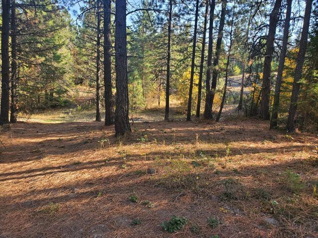 4087 Pine View Way Springdale, WA 99173 - Photo 1 of 12