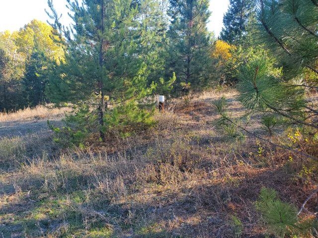 4087 Pine View Way Springdale, WA 99173 - Photo 12 of 12