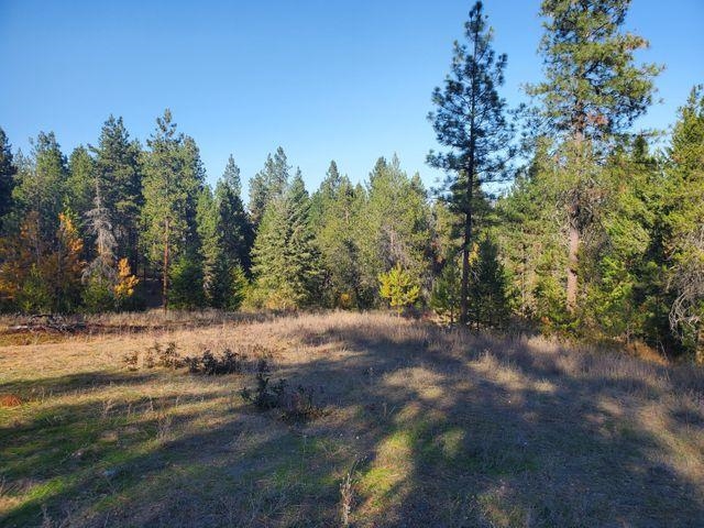 4087 Pine View Way Springdale, WA 99173 - Photo 4 of 12