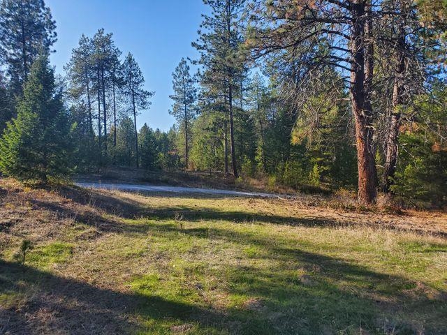 4087 Pine View Way Springdale, WA 99173 - Photo 5 of 12