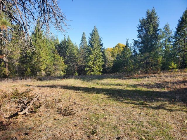 4087 Pine View Way Springdale, WA 99173 - Photo 9 of 12